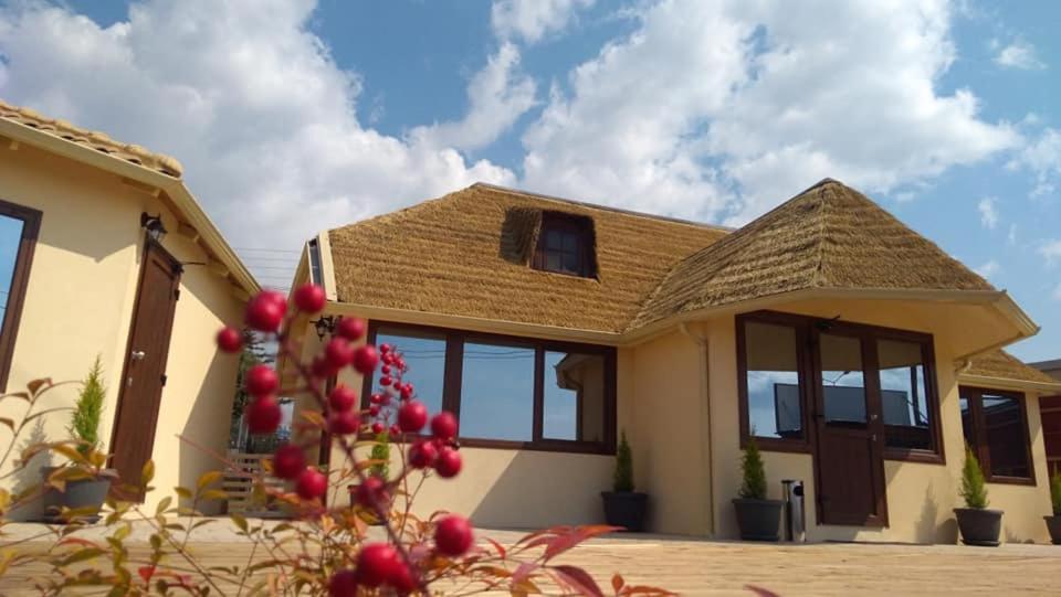 Ask Cozy Rooms Salonicco Esterno foto